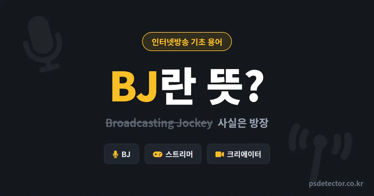 BJ란 뜻이 뭐냐고요? 5년 차 방송인이 알려주는 유래부터 스트리머와의 차이까지