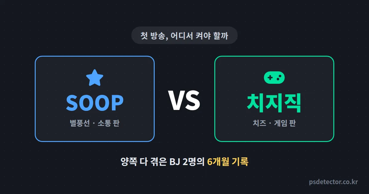 SOOP vs 치지직 어디서 시작해야 할까, 양쪽 다 겪은 BJ 2명의 6개월 정산 기록으로 비교합니다