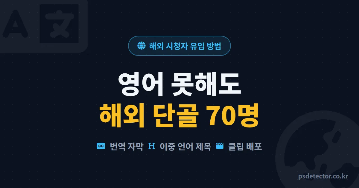 해외 시청자 유입 방법, 영어 한마디 못해도 될까? 번역 자막으로 해외 단골 70명 만든 BJ 2명의 세팅 루트