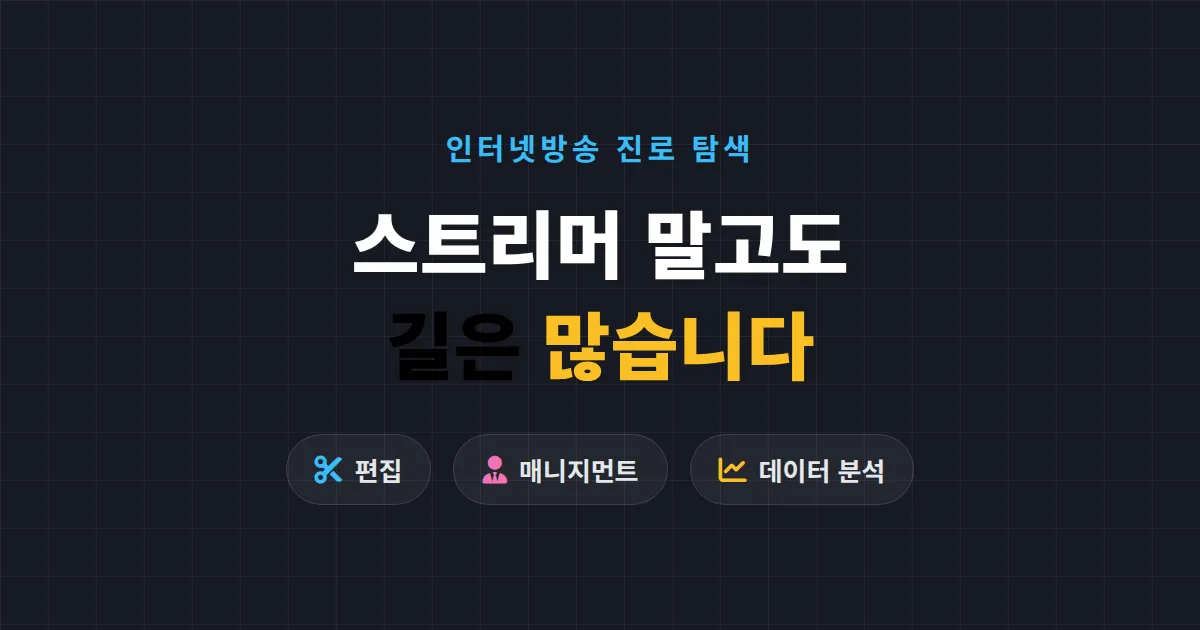 인터넷방송 관련 진로 탐색, 스트리머 말고도 길은 많습니다