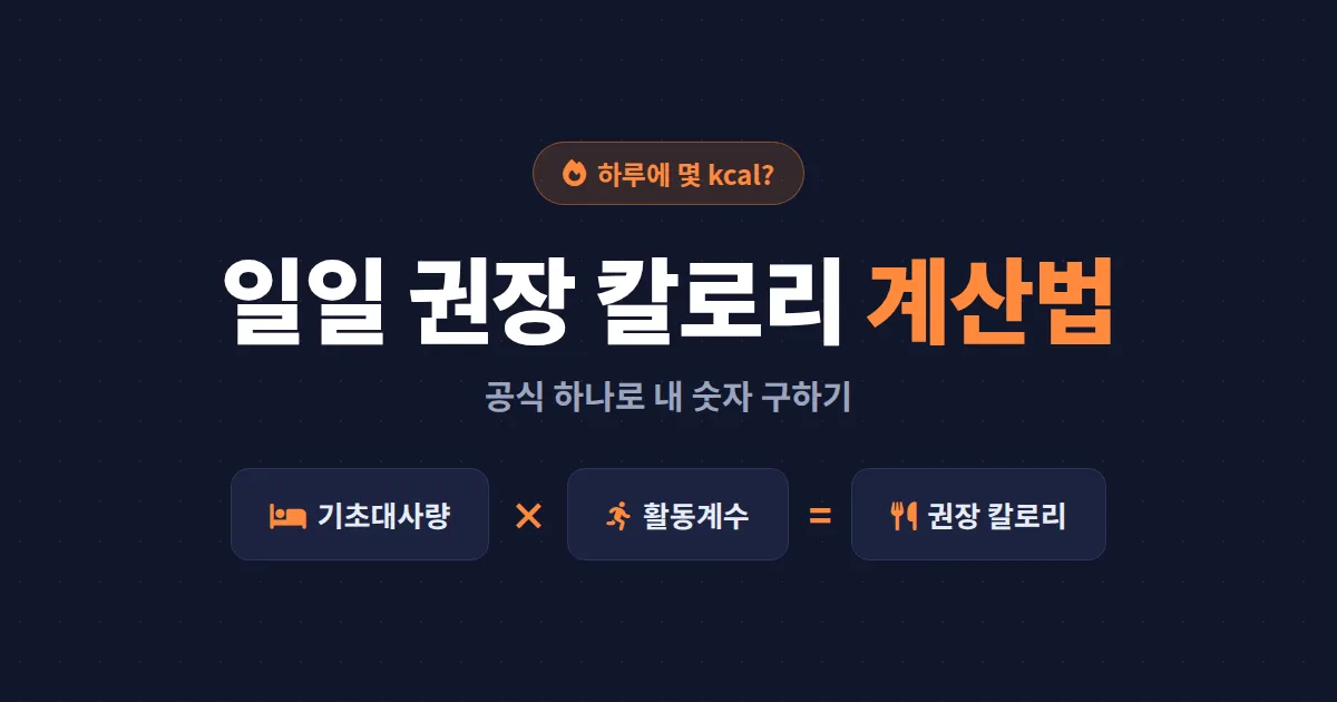 일일 권장 칼로리 계산 방법 총정리 - 기초대사량 공식부터 다이어트 목표별 섭취량까지